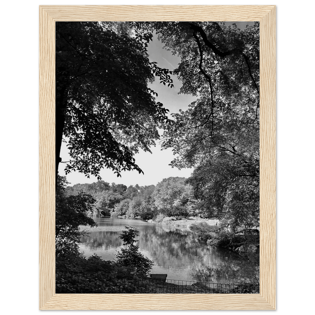 Black and white framed print of a summer lake scene in Upstate NY, part of the Travel Collection Studio Edition by My Store.