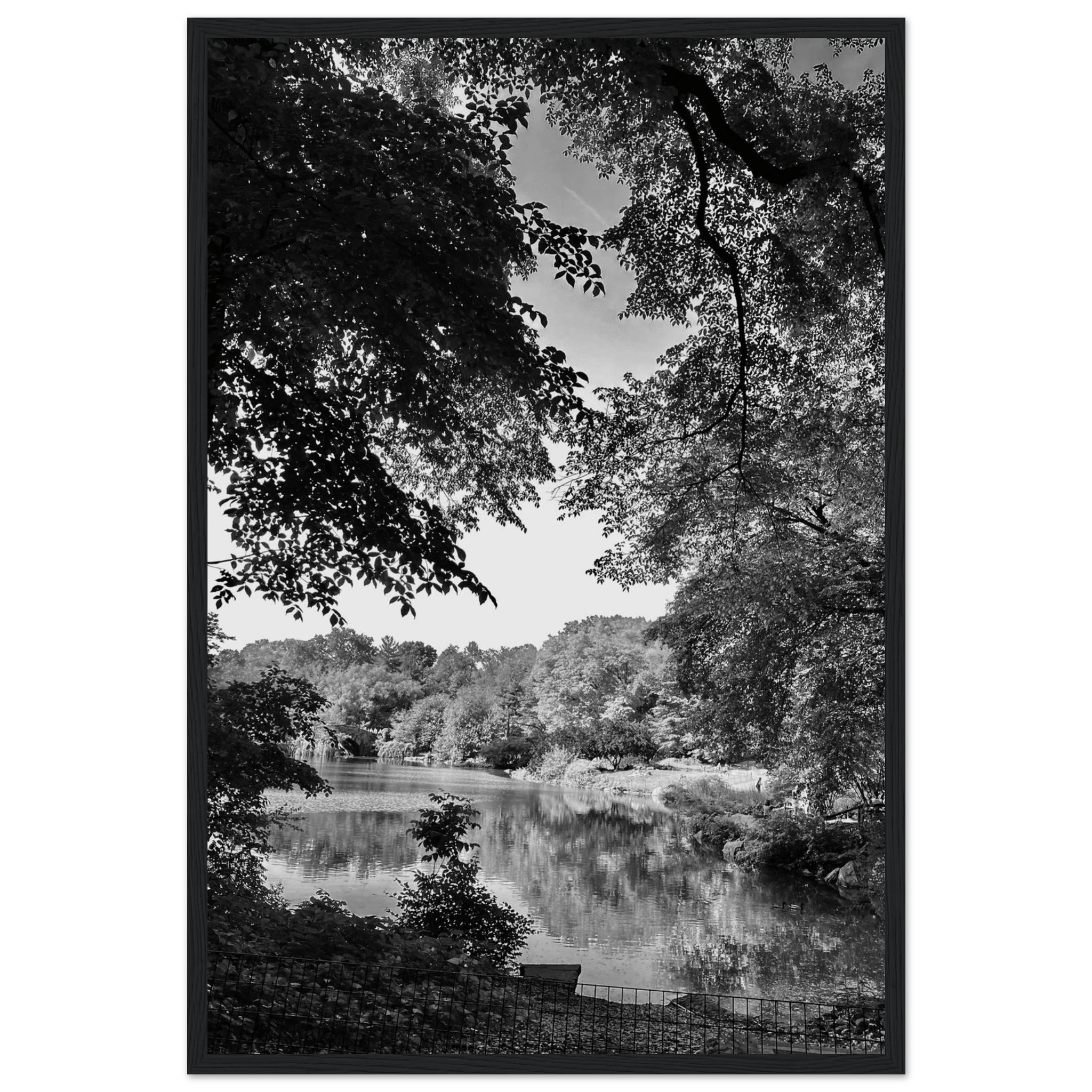 Black and white framed print of Upstate NY summer lake scene from the Travel Collection, Studio Edition, perfect for home decor.