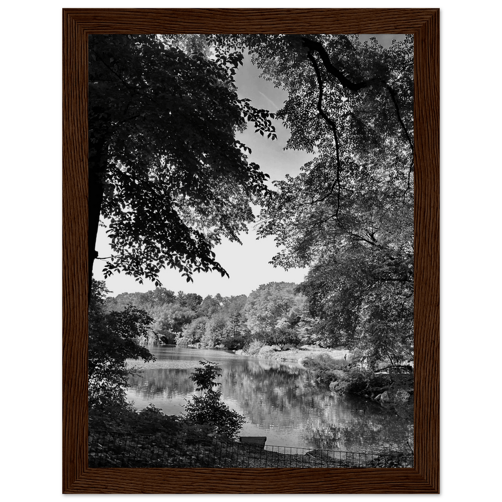 Black and white framed poster of Upstate NY summer lake scene from the My Store travel collection, Studio Edition, perfect for home decor.