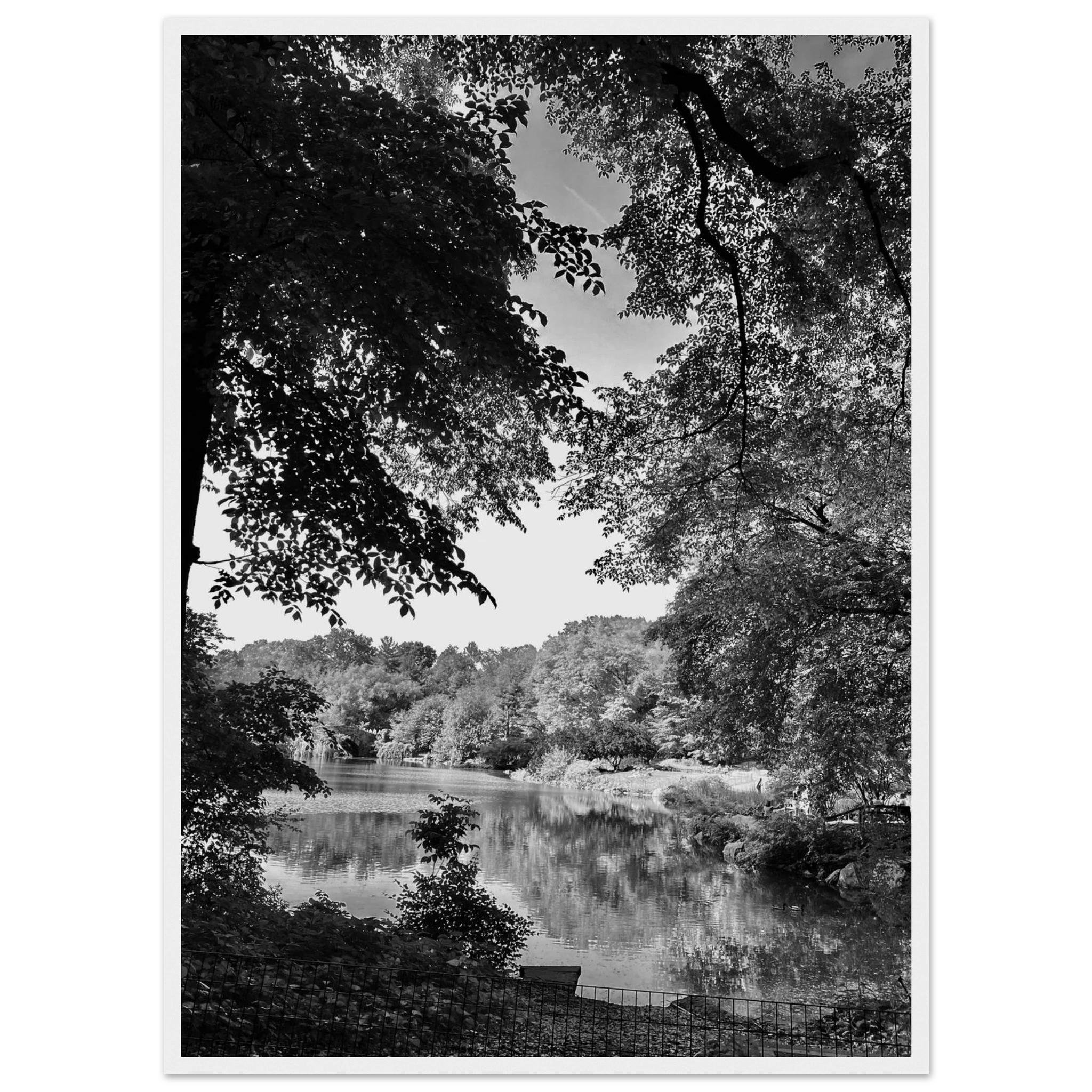 Black and white framed print of Upstate NY summer lake scene from My Store's travel collection, Studio Edition, Holiday 25.