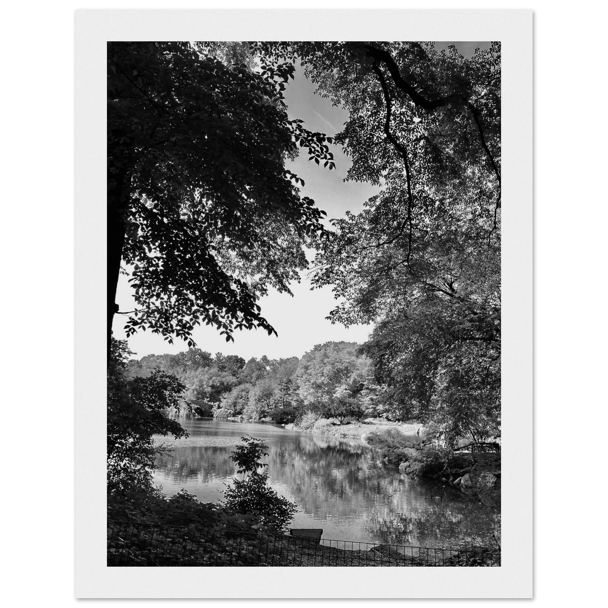 Black and white framed print of Upstate NY summer lake scene from the Travel Collection, Studio Edition, featuring serene water and landscape.