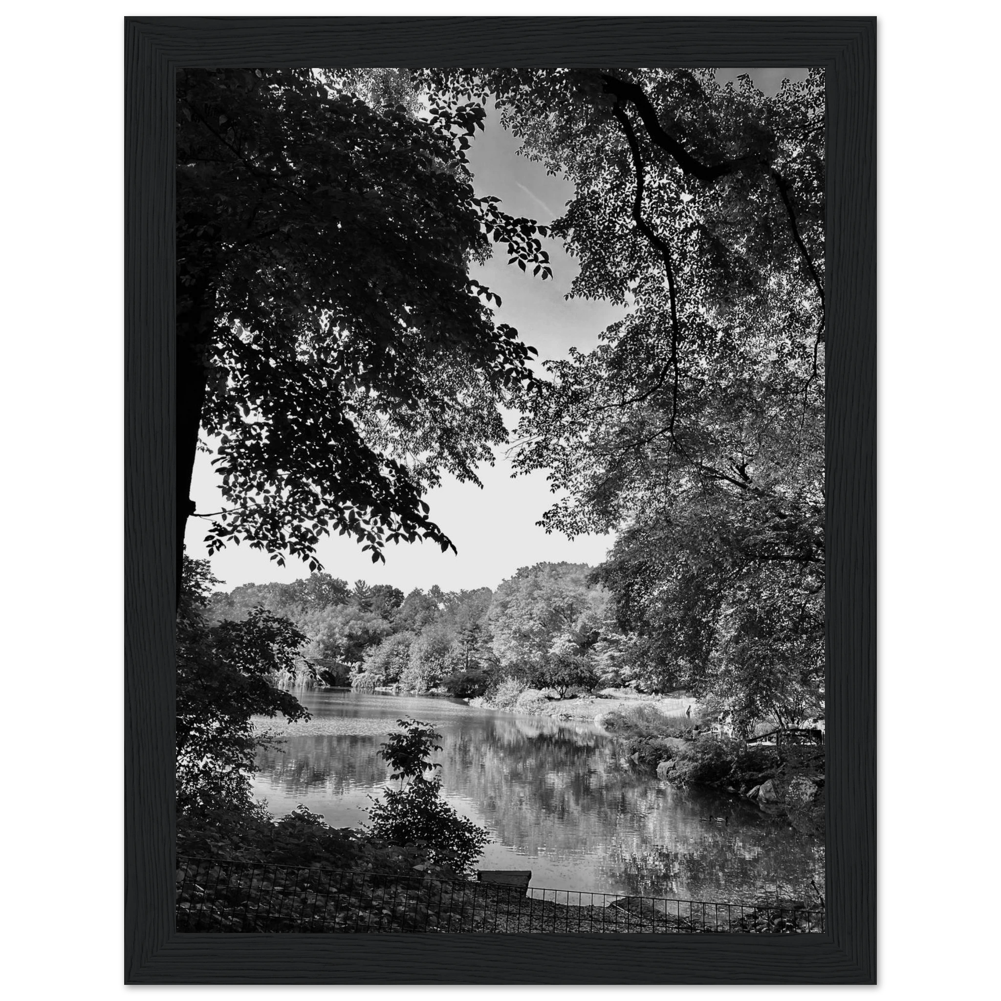 Black and white framed poster of Upstate NY summer lake scene from the Travel Collection, Studio Edition, featuring tranquil water and trees.