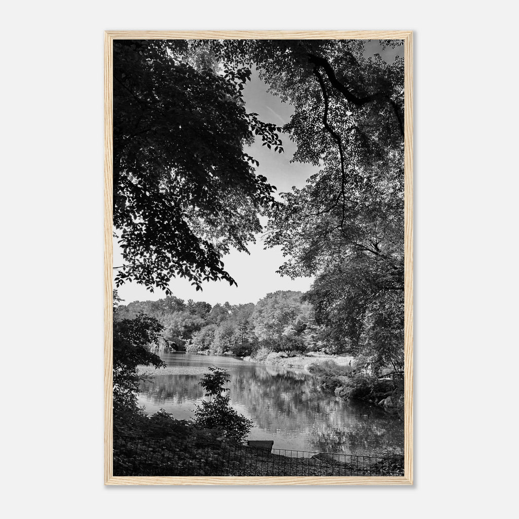 Black and white framed print of an Upstate NY summer lake scene from the My Store Travel Collection, Studio Edition.