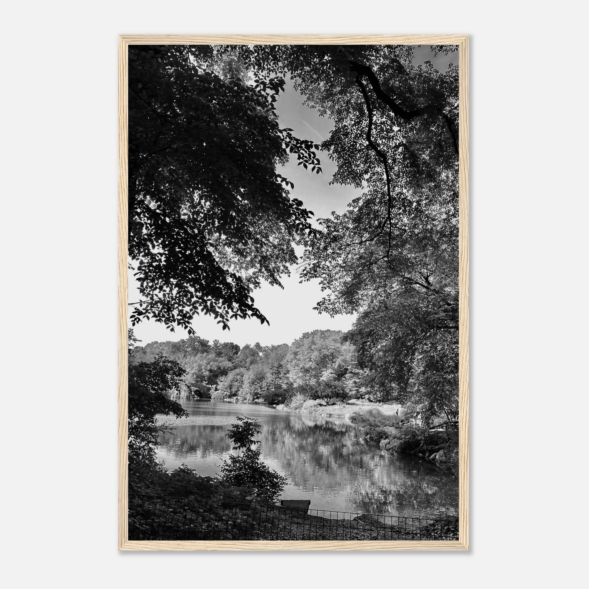 Black and white framed print of an Upstate NY summer lake scene from the My Store Travel Collection, Studio Edition.