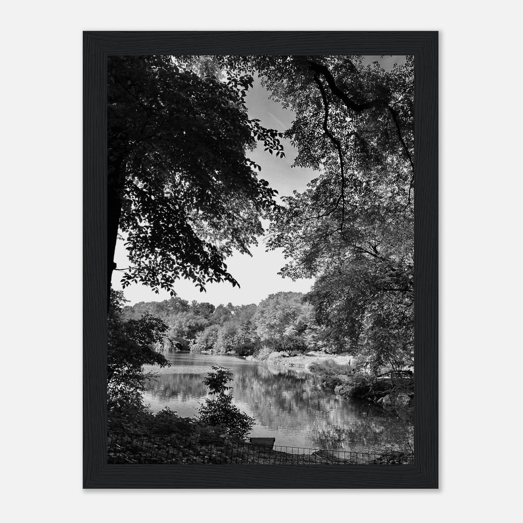 Black and white framed print of Upstate NY summer lake scene from the Travel Collection Studio Edition, perfect for home decor.