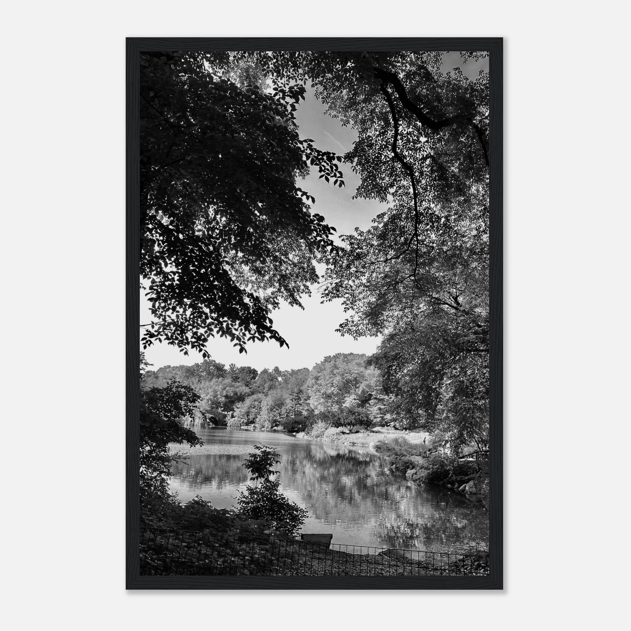Black and white framed print of a summer lake in Upstate NY from the Travel Collection by My Store, Studio Edition.
