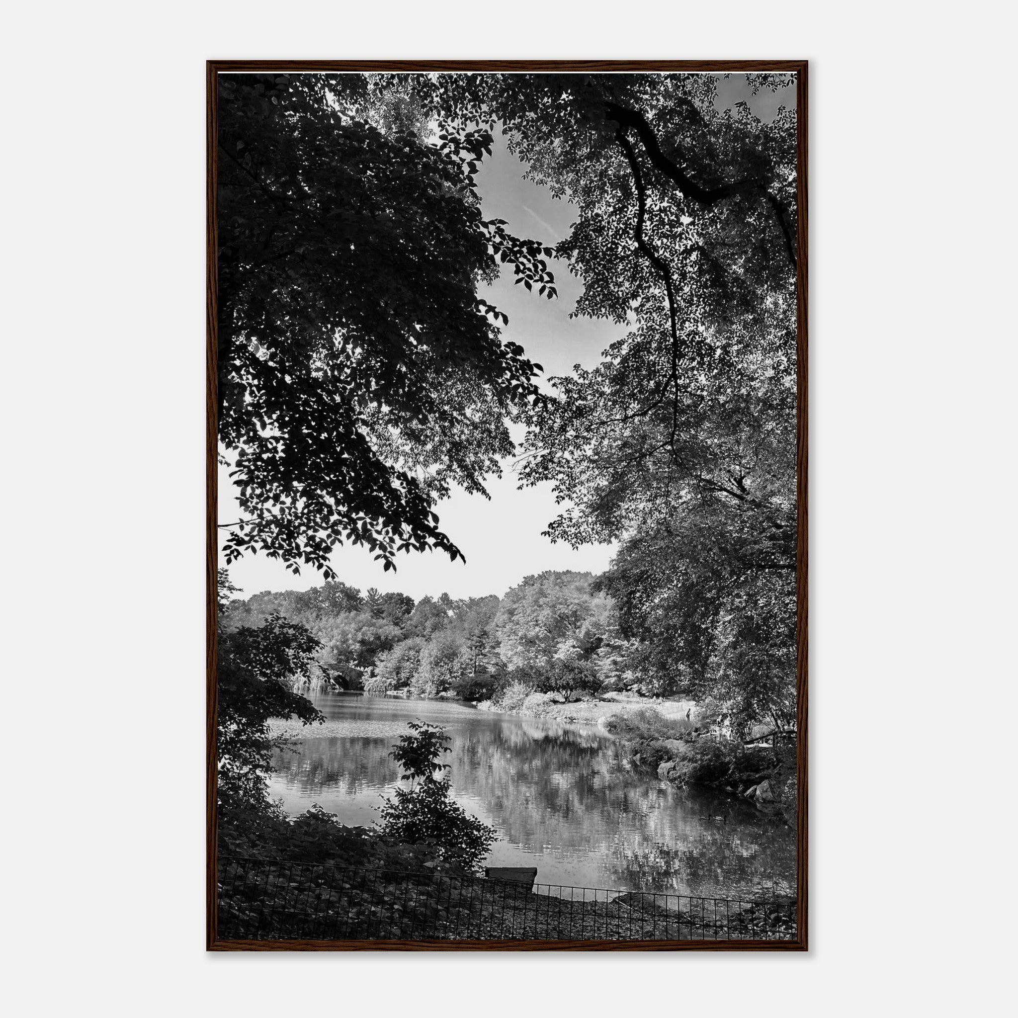 Black and white framed print of a summer lake scene from Upstate NY, part of the Travel Collection Studio Edition.