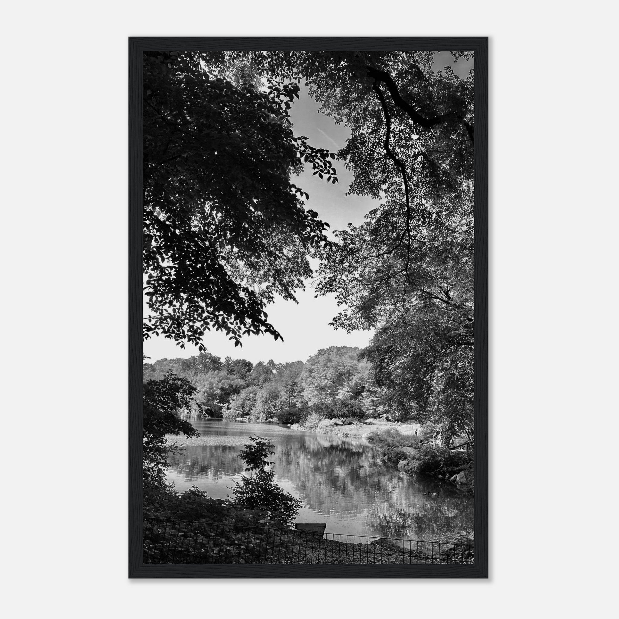 Black and white framed print of Upstate NY summer lake scene from the Travel Collection Studio Edition by My Store.