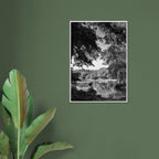 Black and white framed print of a summer lake scene in Upstate NY from the My Store travel collection, Studio Edition.