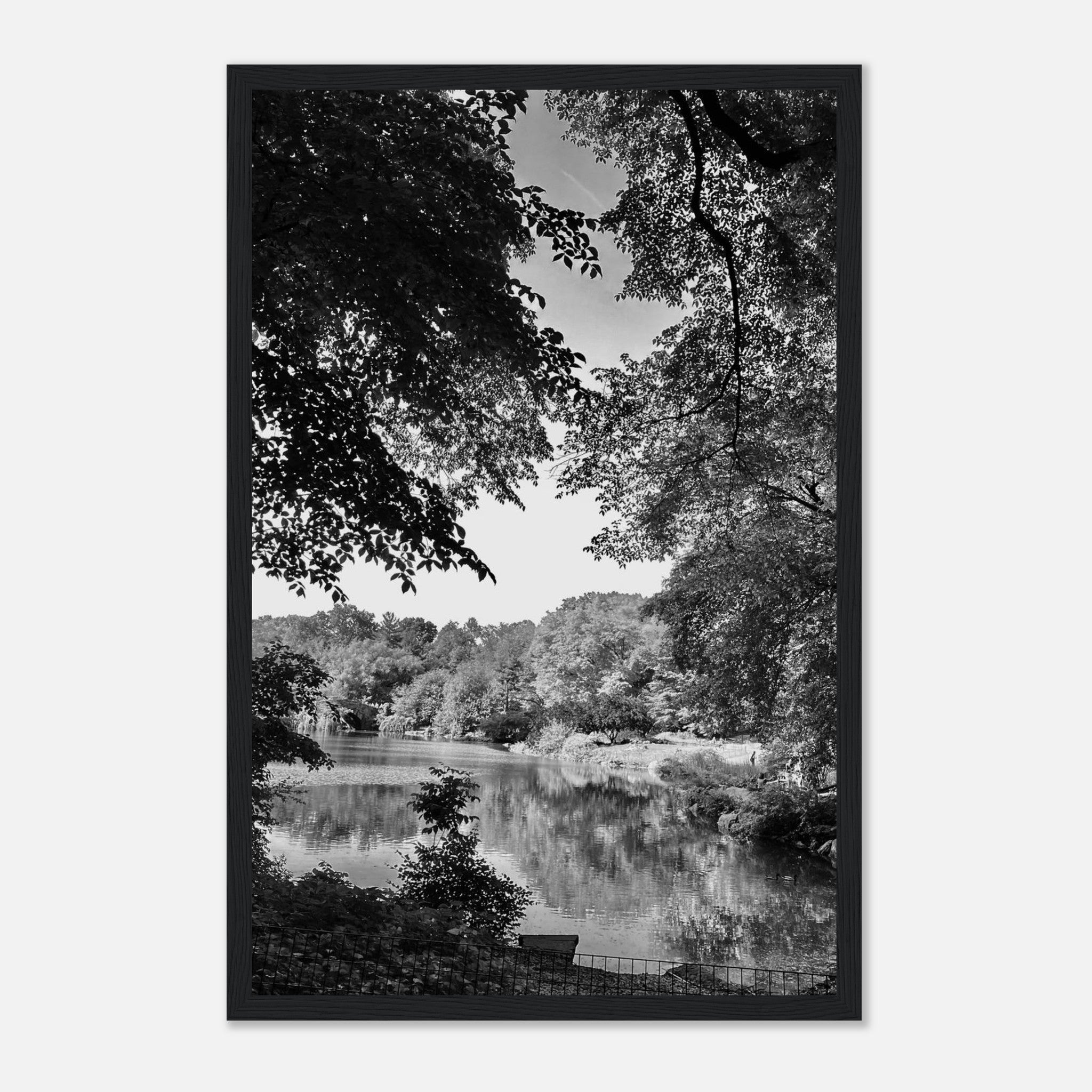 Black and white framed print of an Upstate NY summer lake scene from the Travel Collection by My Store.