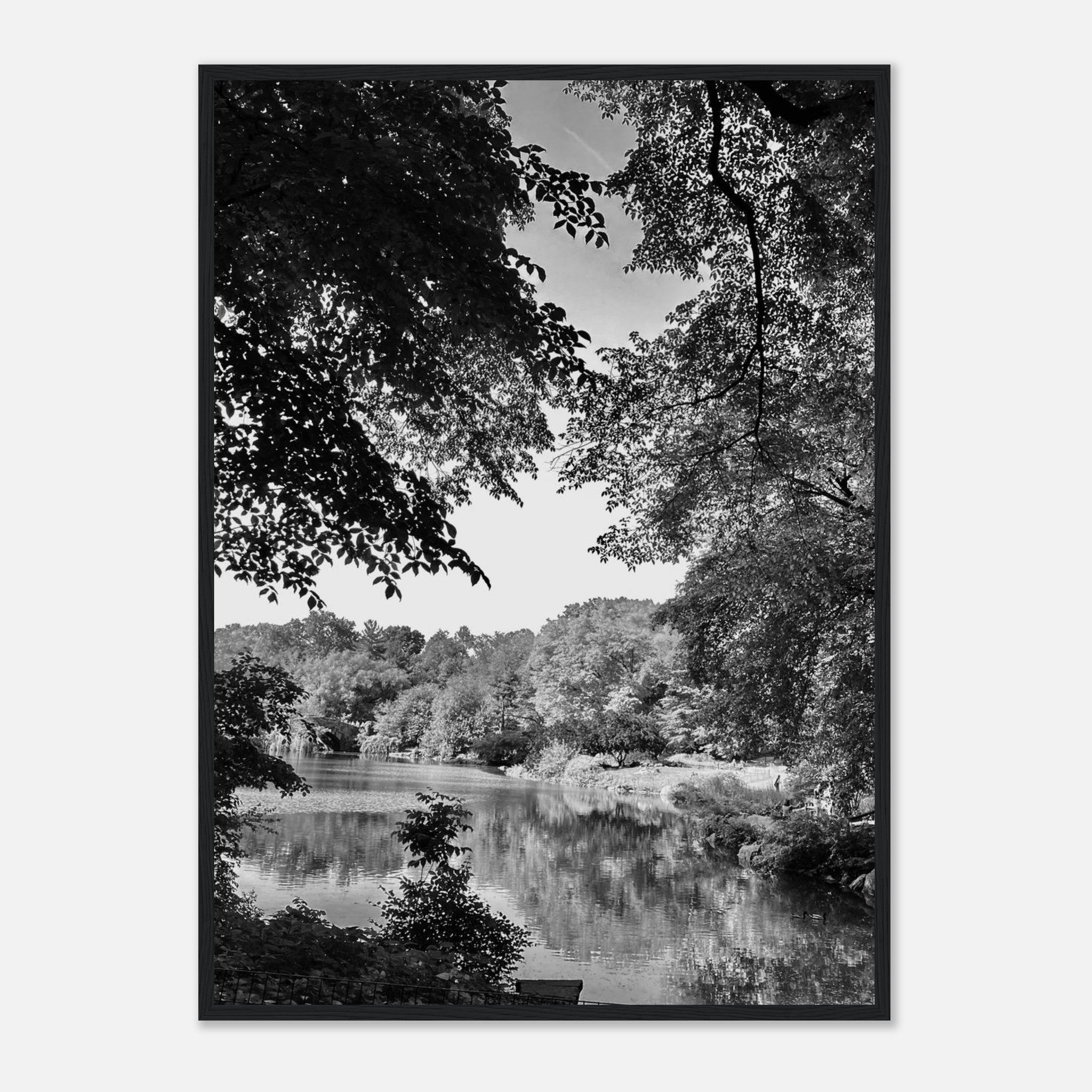 Framed black and white print of Upstate NY summer lake scene from the My Store Travel Collection, Studio Edition.