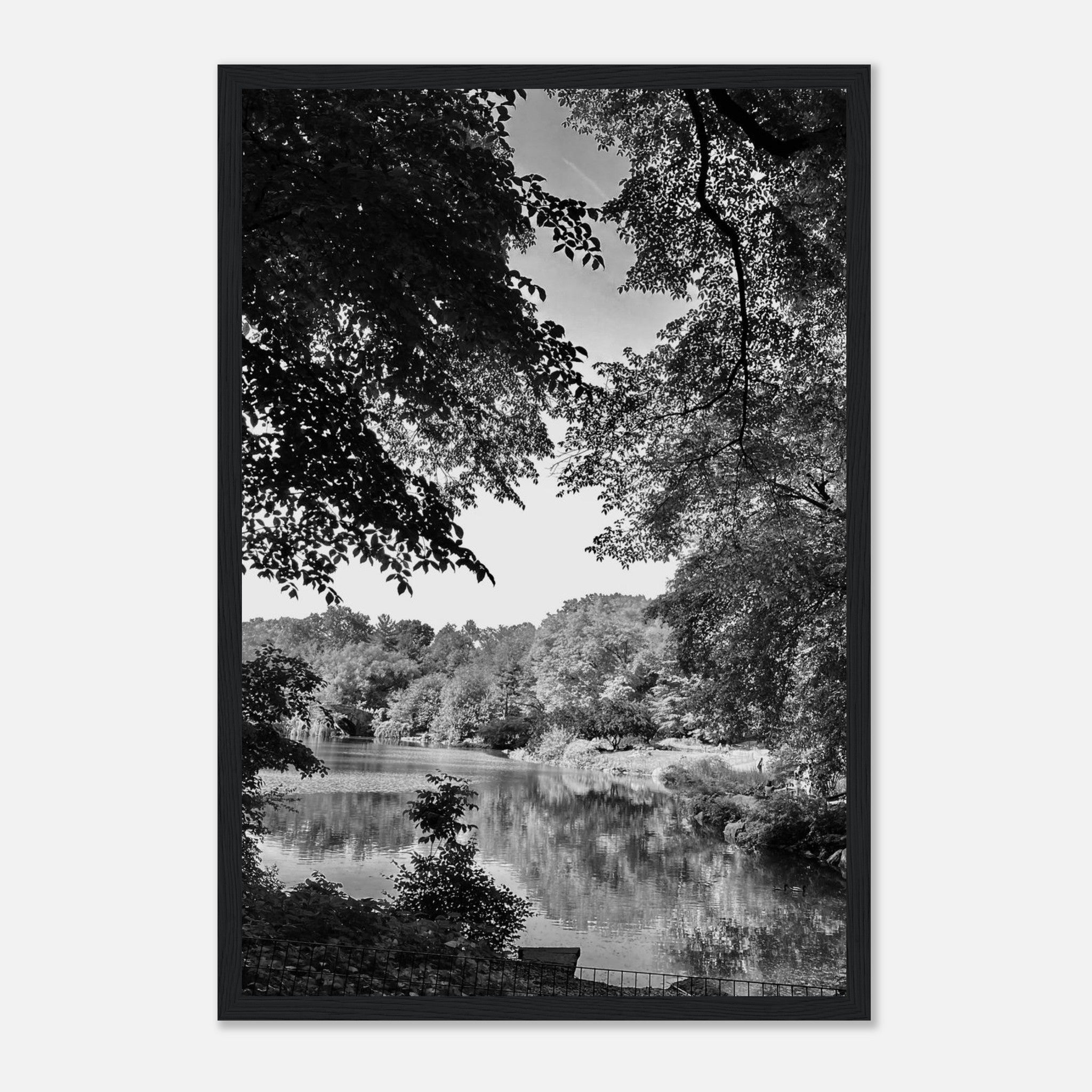 Framed print of Upstate NY summer lake scene from the Travel Collection, Studio Edition in black and white, ideal for home decor.