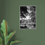 Black and white framed print of a summer lake scene in Upstate NY from the Studio Edition Black & White Series, part of the Travel Collection.