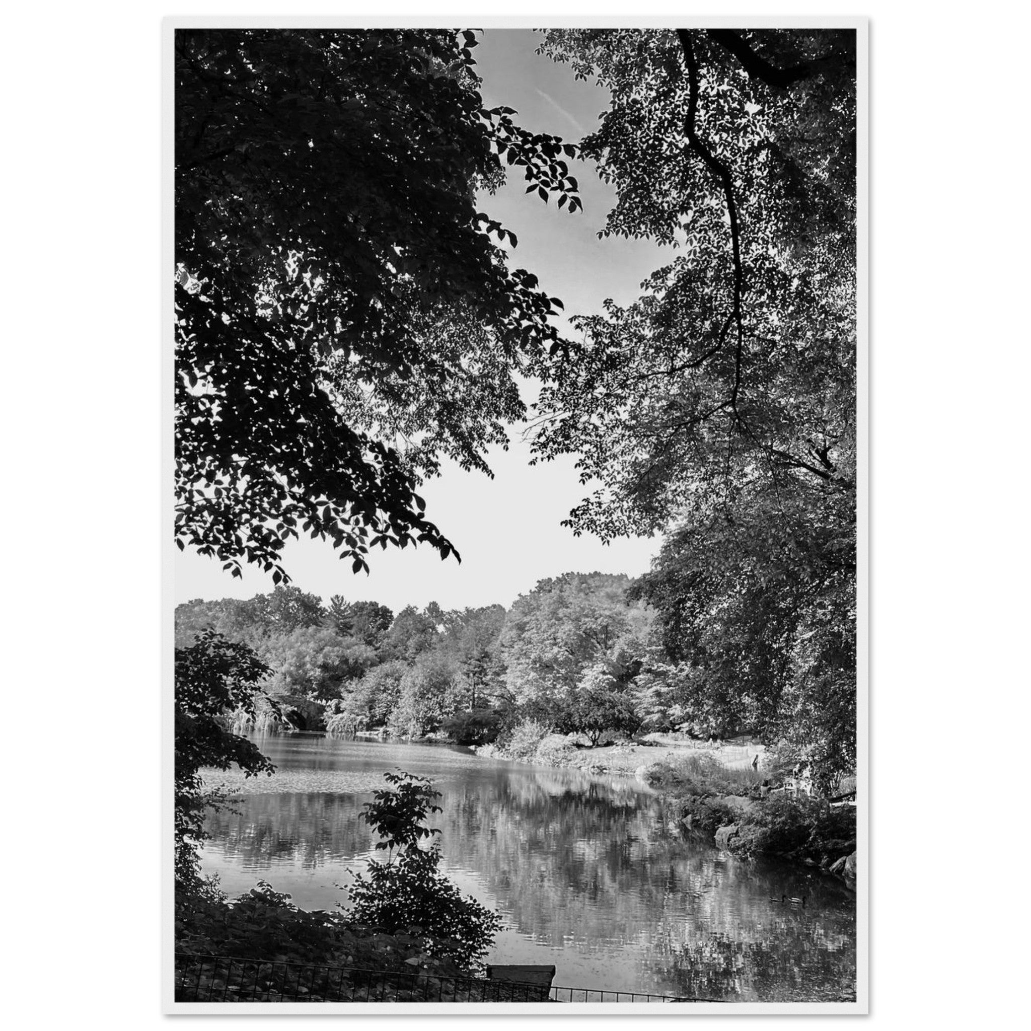 Black and white framed print of a summer lake in Upstate NY, part of the Travel Collection Studio Edition.