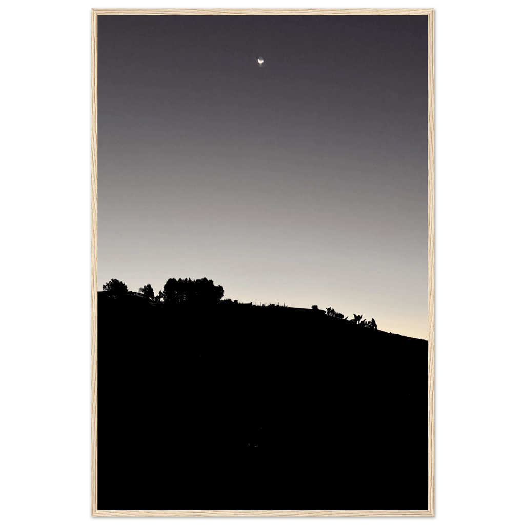 Wooden framed semi-glossy poster of Fall New Moon Hollywood Hills black and white series California art by Studio Edition.