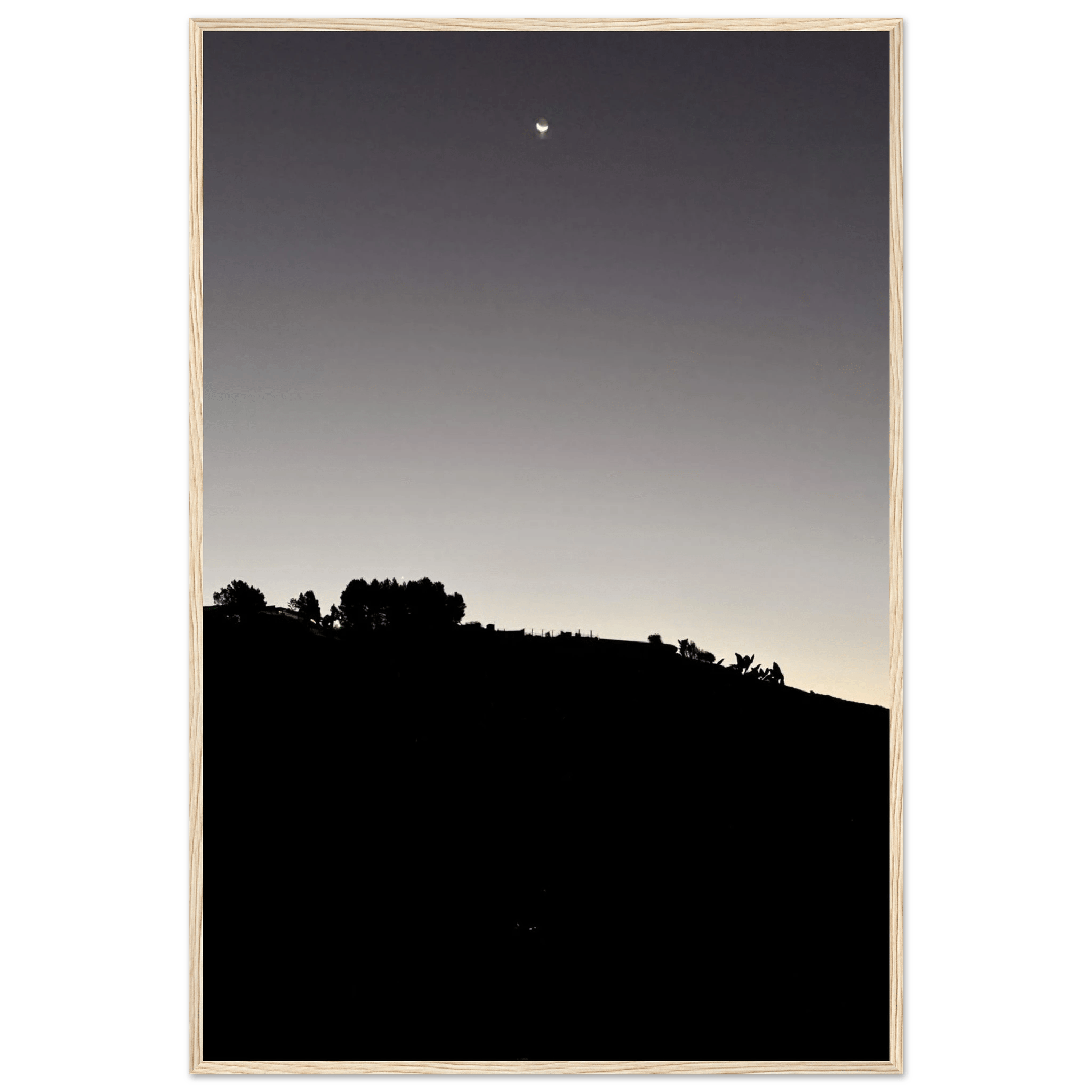 Wooden framed semi-glossy poster of Fall New Moon Hollywood Hills black and white series California art by Studio Edition.