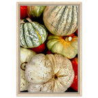Rustic harvest gourd wall art print on canvas, autumn pumpkin design, 20x30 cm, styled for all-year seasonal decor.