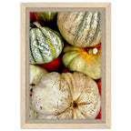 Rustic harvest gourd wall art print on canvas featuring autumn pumpkins, perfect for seasonal or all-year decor.