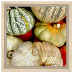 Rustic harvest gourd wall art print by California Canvas, featuring autumn pumpkins on a canvas for stylish year-round decor.