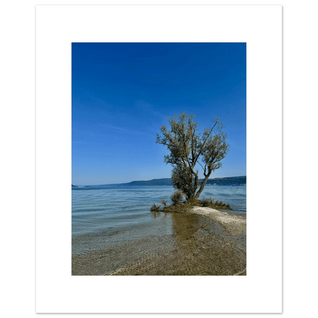 Majestic tree on a European lake aluminum print, nature-inspired wall art from the Travel Collection, studio edition, 20x30 cm.
