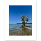 Majestic tree on a European lake aluminum print, nature-inspired wall art from the Travel Collection, studio edition, 20x30 cm.
