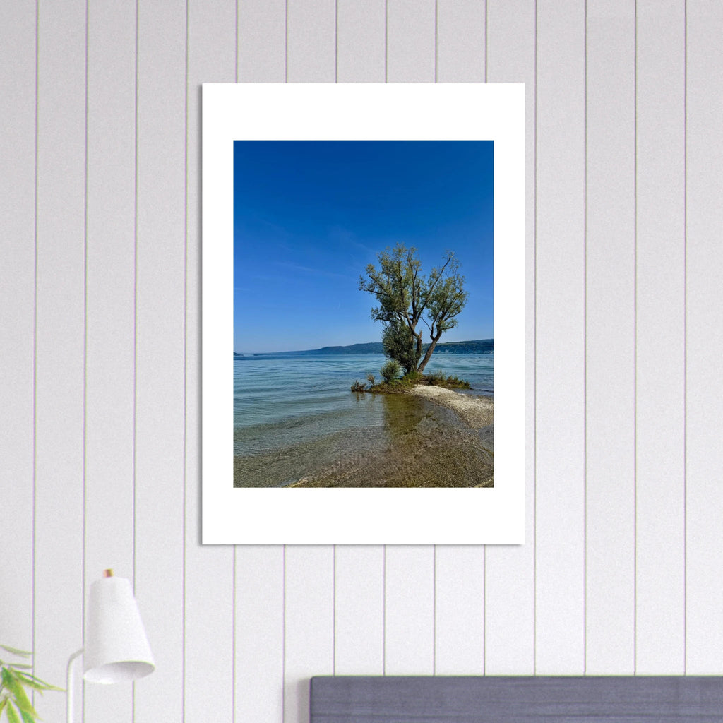 Aluminum print of a majestic tree on a European lake, nature-inspired wall art from the Travel Collection, Studio Edition.