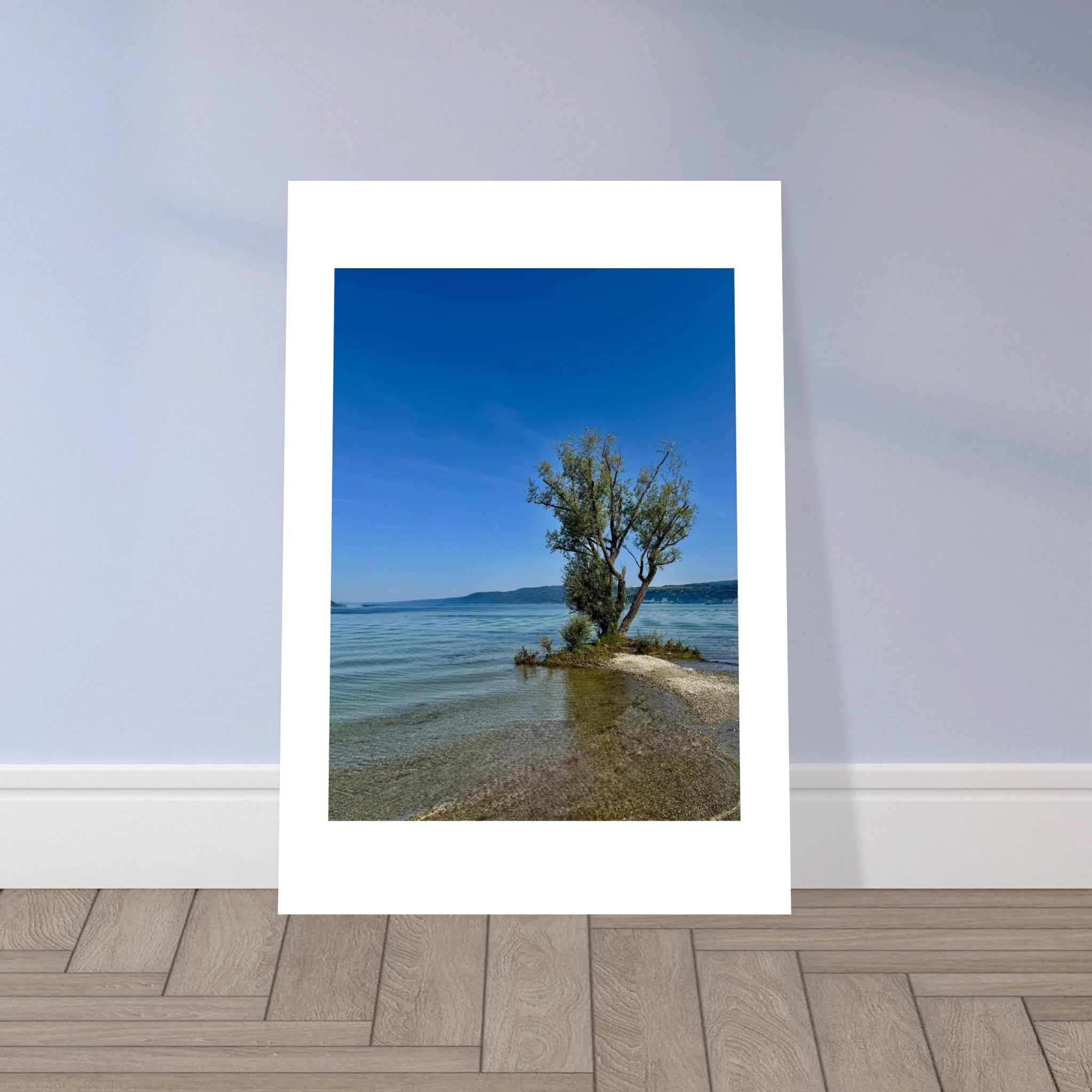 Aluminum print of a majestic tree by a European lake, nature-inspired wall art from the Travel Collection, Studio Edition.