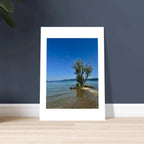 Majestic tree on a European lake aluminum print, nature-inspired wall art from the Travel Collection, studio edition.