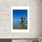 Aluminum print of a majestic tree on a European lake, nature-inspired wall art from the Travel Collection, Studio Edition.