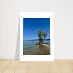 Aluminum print of a majestic tree reflecting on a European lake, nature-inspired wall art from the Travel Collection.