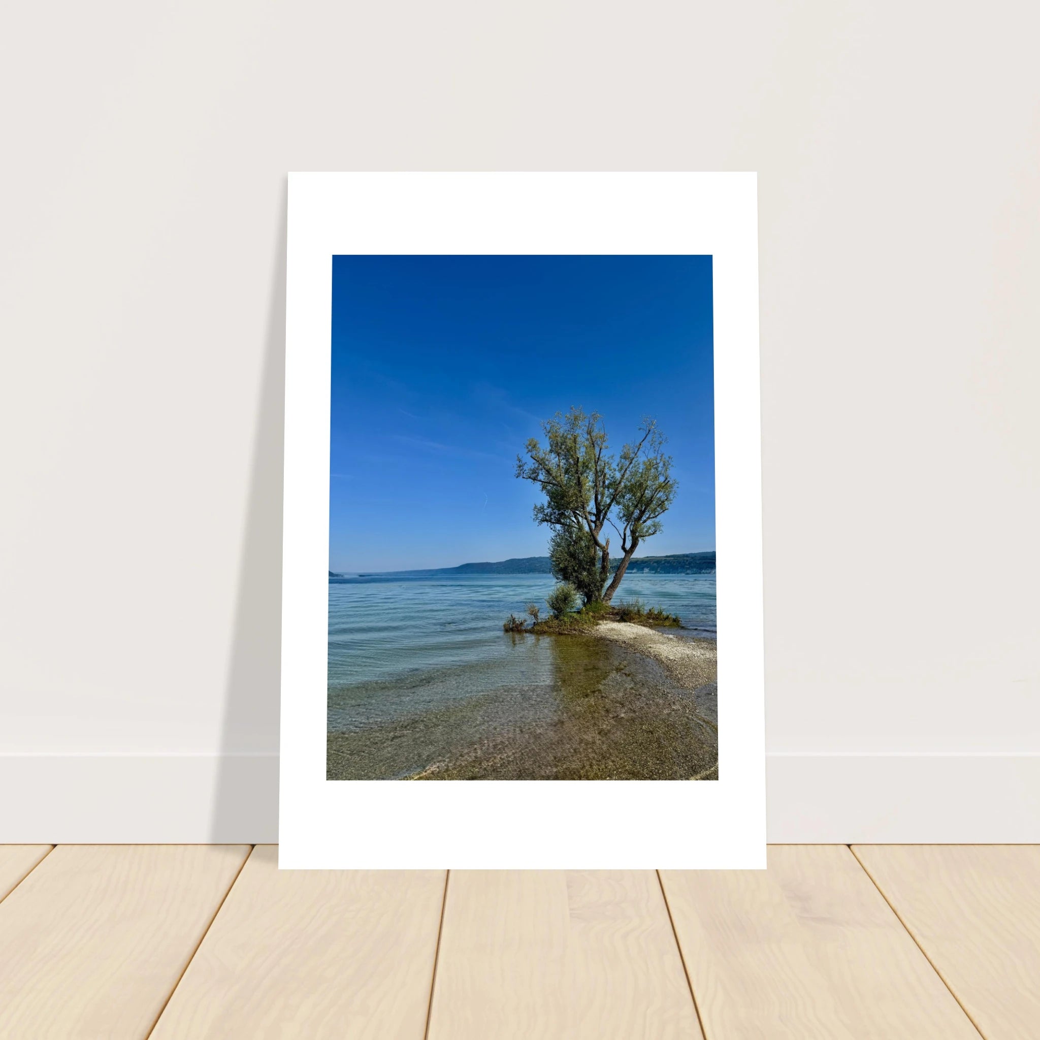 Aluminum wall art print of a majestic tree by a European lake, from My Store's Nature-Inspired Travel Collection, studio edition.
