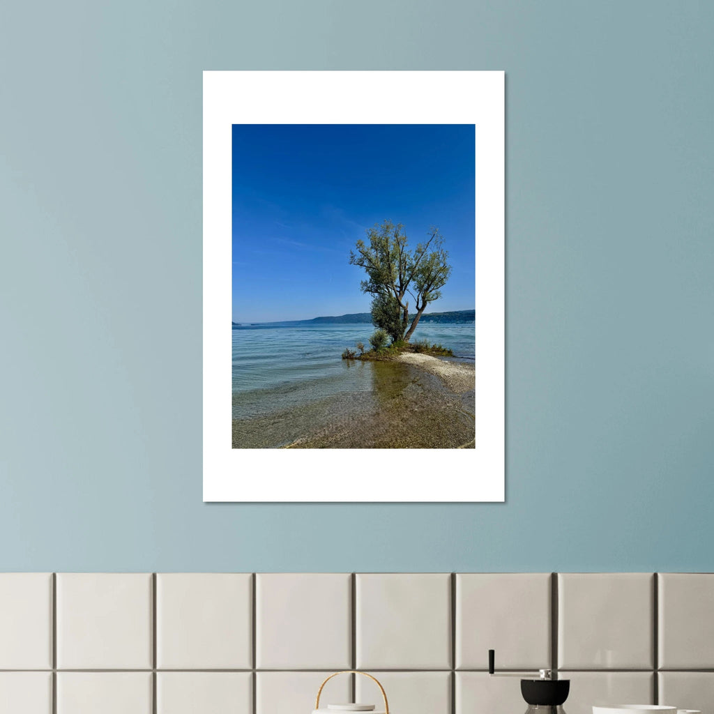 Aluminum print of a majestic tree reflected in a European lake, nature-inspired wall art from the Travel Collection.