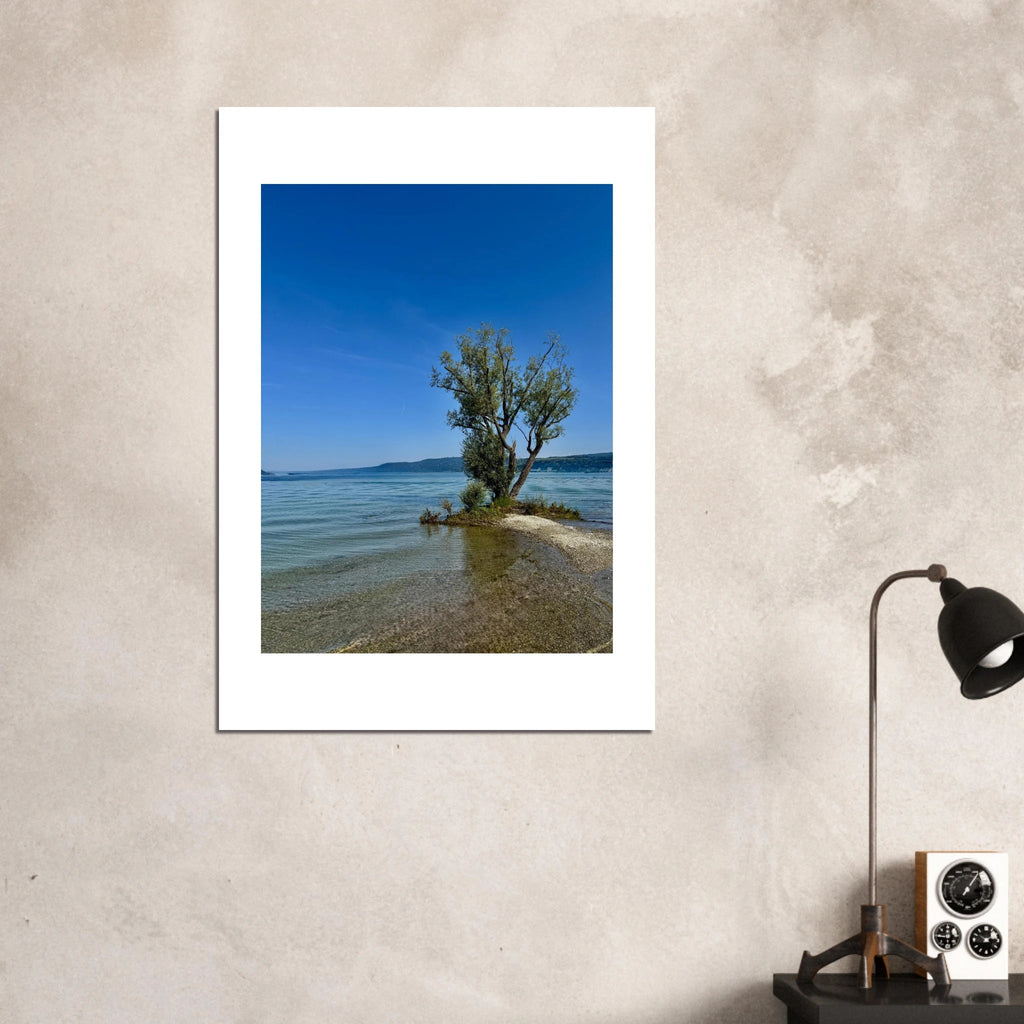 Majestic tree on a European lake aluminum print, nature-inspired wall art from the Travel Collection, studio edition, 20x30 cm.