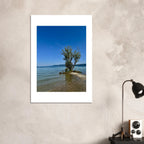 Majestic tree on a European lake aluminum print, nature-inspired wall art from the Travel Collection, studio edition, 20x30 cm.