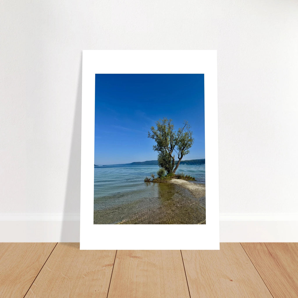 Aluminum print of a majestic tree on a European lake, nature-inspired wall art from the Travel Collection, Studio Edition.