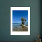 Aluminum print of a majestic tree by a European lake, nature-inspired wall art from the Travel Collection, Studio Edition.