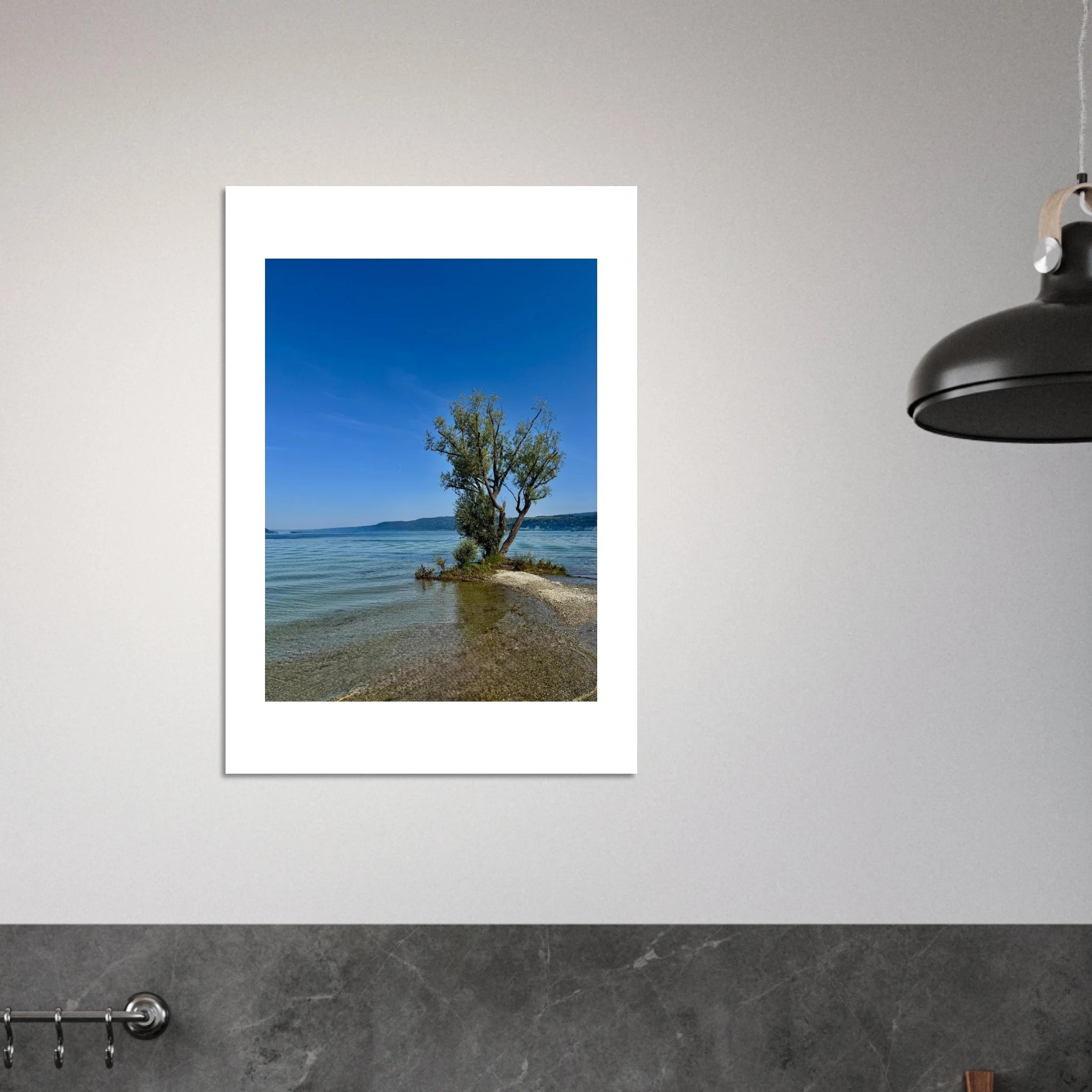 Aluminum print of a majestic tree by a European lake, nature-inspired wall art from the Travel Collection, Studio Edition.