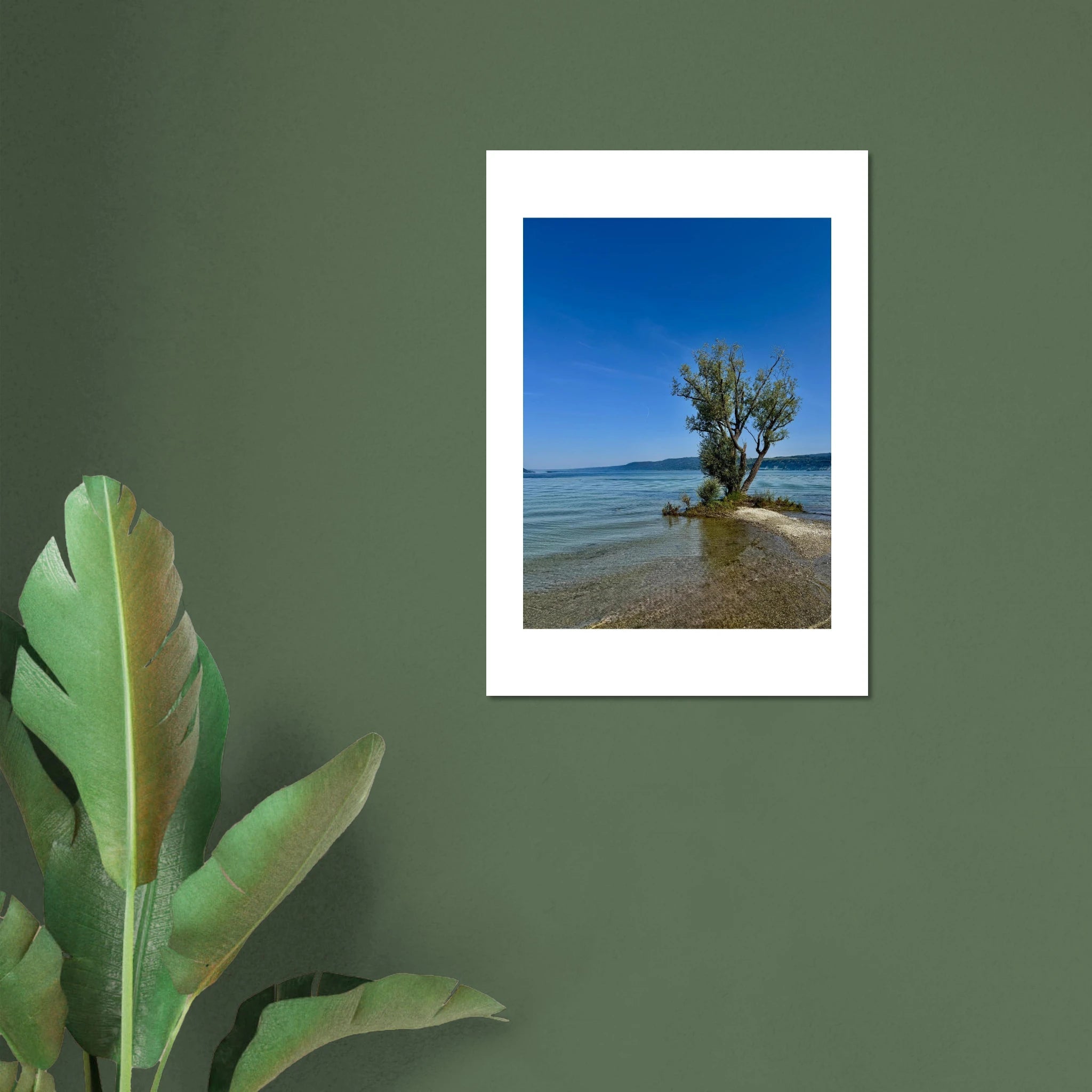 Aluminum print of a majestic tree on a European lake, nature-inspired wall art from the Travel Collection, studio edition.