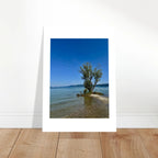 Majestic tree on European lake aluminum print, nature-inspired wall art from the Travel Collection, 20x30 cm, studio edition.