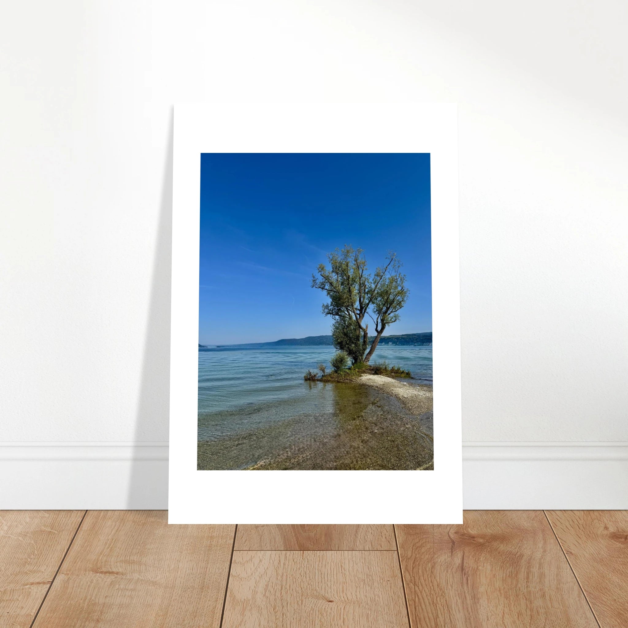 Majestic tree on European lake aluminum print, nature-inspired wall art from the Travel Collection, 20x30 cm, studio edition.