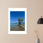 Majestic tree on a European lake aluminum print, nature-inspired wall art from the Travel Collection, studio edition, 20x30 cm.