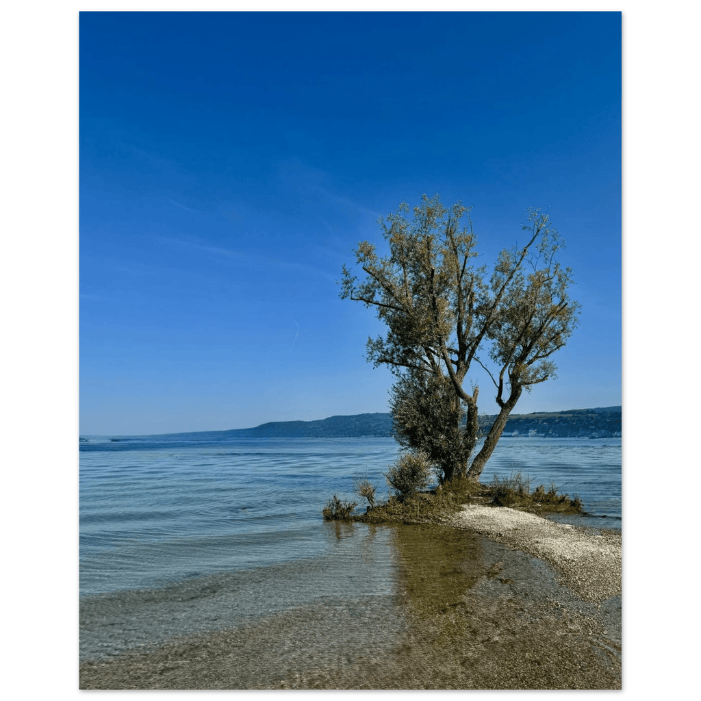 Majestic tree on European lake aluminum print, nature-inspired wall art from the Travel Collection, studio edition, 20x30 cm.