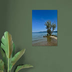 Aluminum print of a majestic tree on a European lake, nature-inspired wall art from the Travel Collection, Studio Edition.