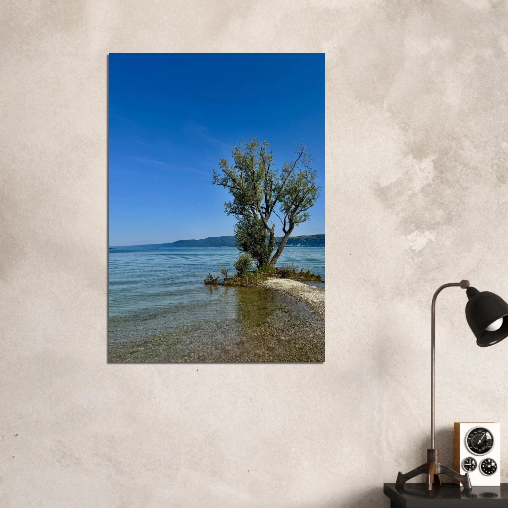 Aluminum print of a majestic tree on a European lake, nature-inspired wall art from the Travel Collection, Studio Edition.