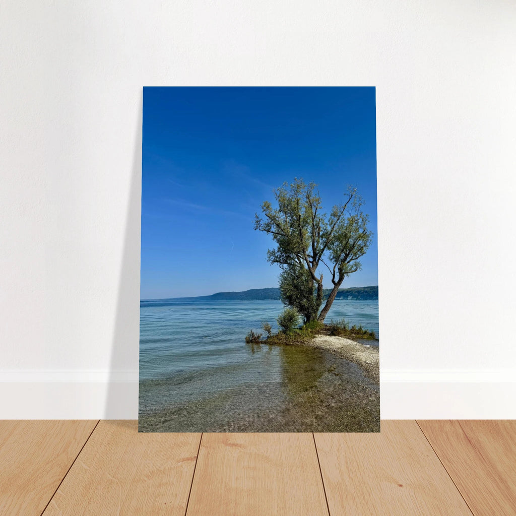 Aluminum print of a majestic tree by a European lake, nature-inspired wall art from the Travel Collection, Studio Edition.