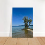 Aluminum print of a majestic tree by a European lake, nature-inspired wall art from the Travel Collection, Studio Edition.