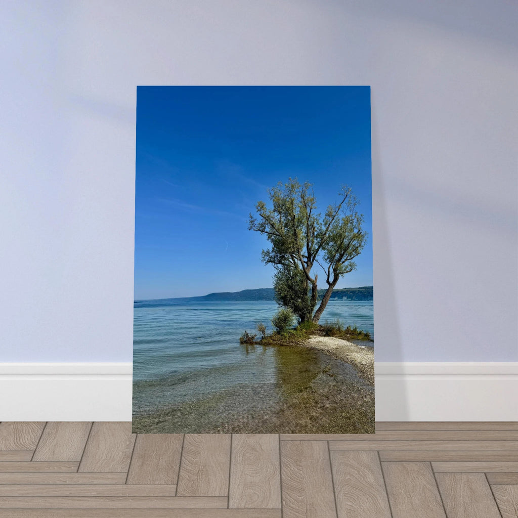 Aluminum print of a majestic tree on a European lake, nature-inspired wall art from the Travel Collection, Studio Edition, 20x30 cm