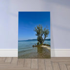 Aluminum print of a majestic tree on a European lake, nature-inspired wall art from the Travel Collection, Studio Edition, 20x30 cm