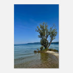 Majestic tree on a European lake aluminum print, nature-inspired wall art from the Travel Collection, studio edition, 20x30 cm.