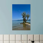 Aluminum print of a majestic tree by a European lake, nature-inspired wall art from the Travel Collection, Studio Edition.